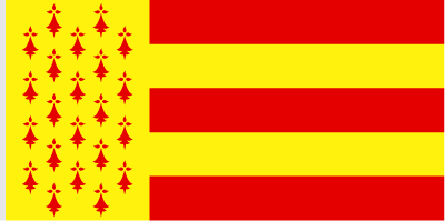 Drapeau du pays Bigouden